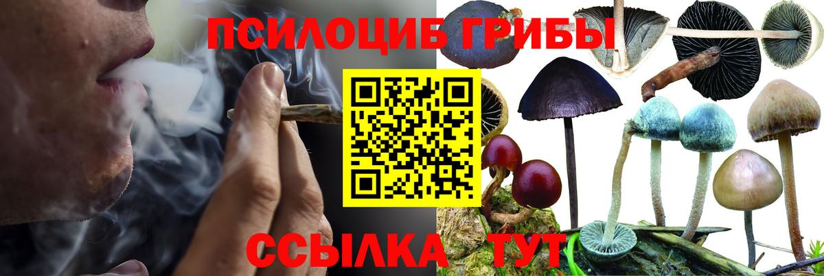 Псилоцибиновые грибы мухоморы Великий Новгород