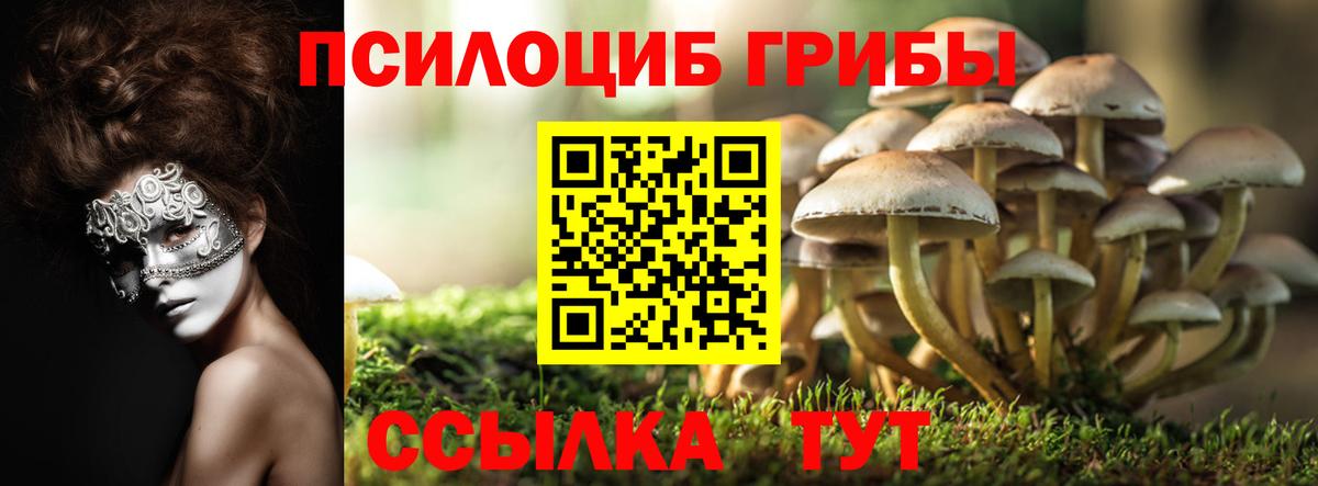 Псилоцибиновые грибы мицелий  Вход с VPN  Великий Новгород 